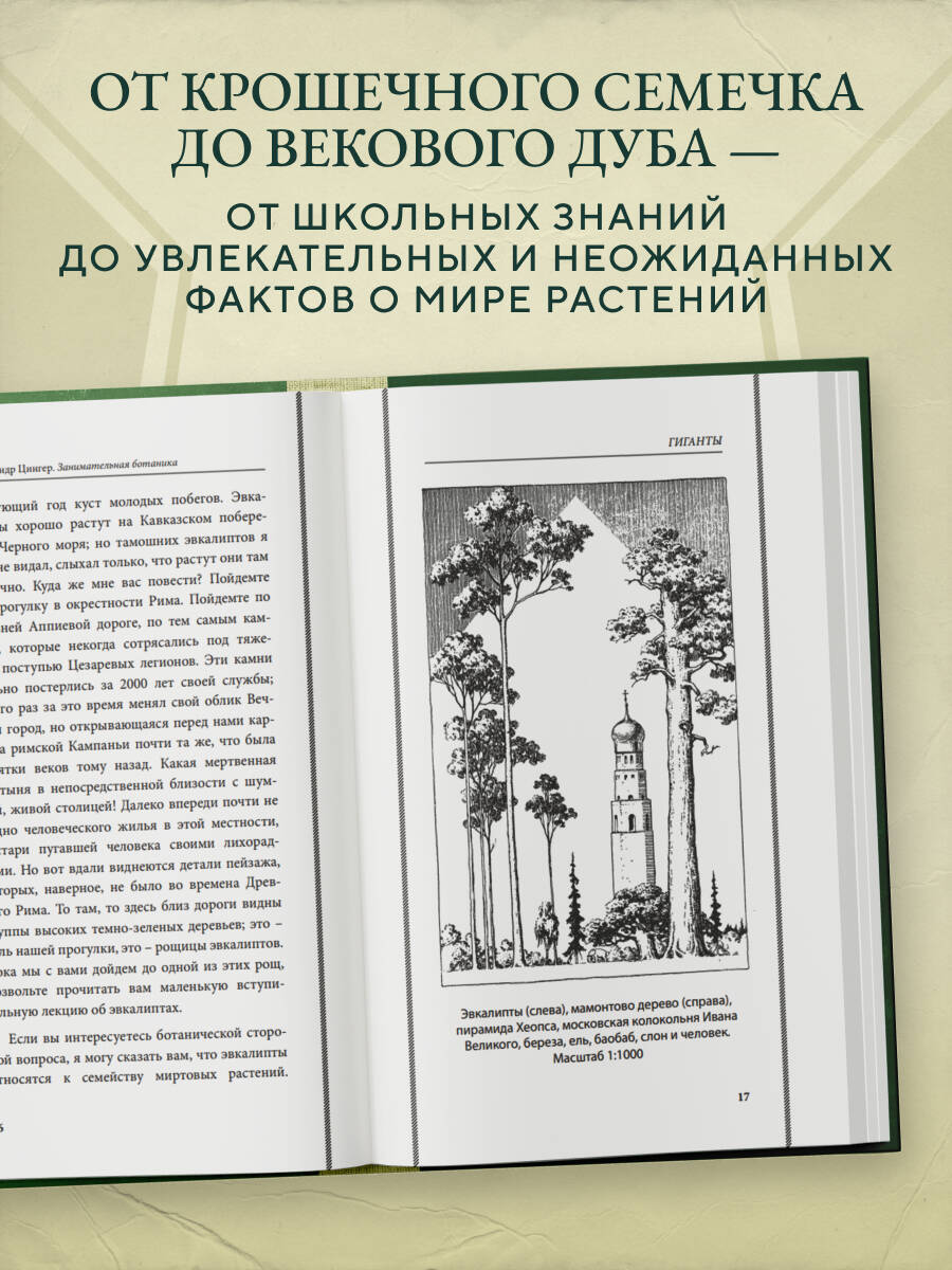Занимательная ботаника. Лучшие советские учебники | Entertaining Botany: Best Soviet Textbooks - Ozon image 1