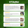Капсулы для похудения турецкие Good Lux - купить с доставкой по ...