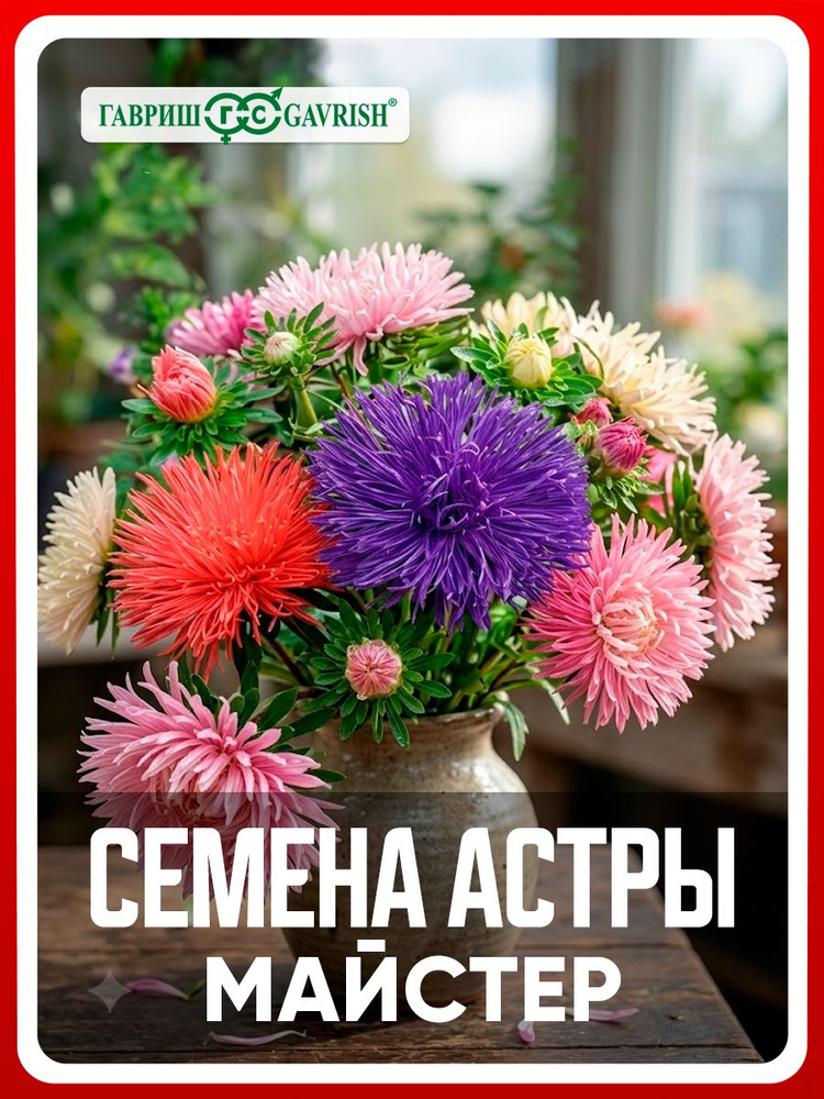 Семена Астра игольчатая смесь "Майстер" 0,3 гр, однолетние цветы для дачи, сада и огорода, клумбы, в #1