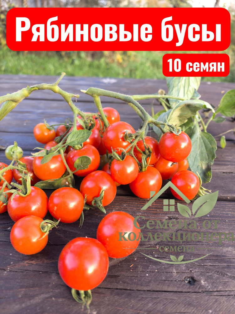 Семена ,10шт #1