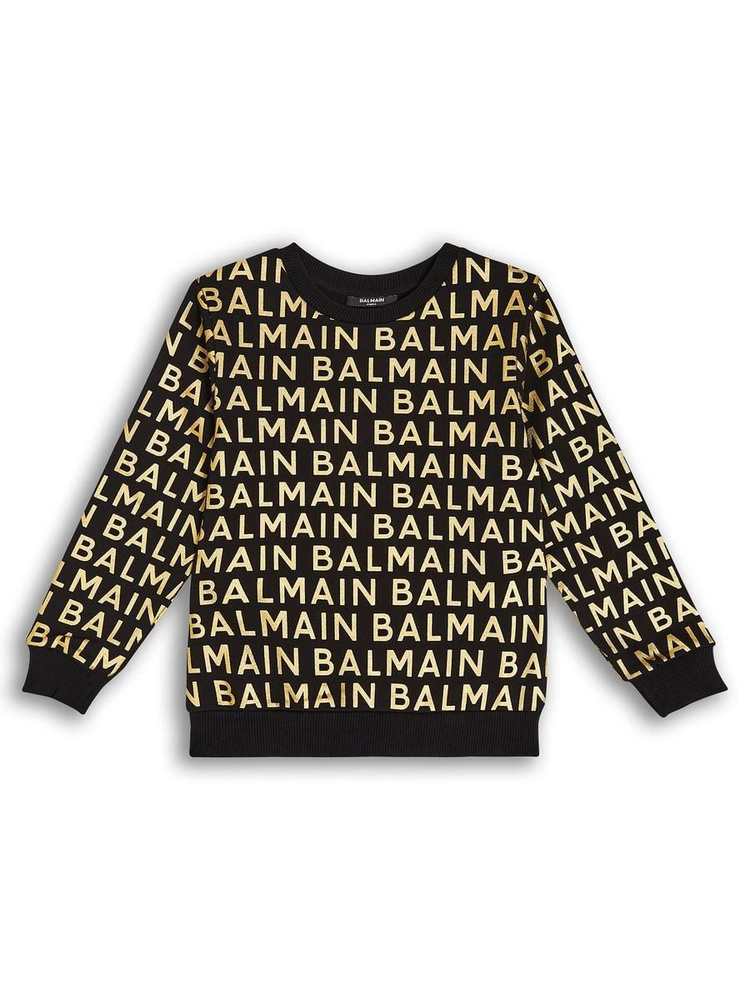 Свитшот BALMAIN #1