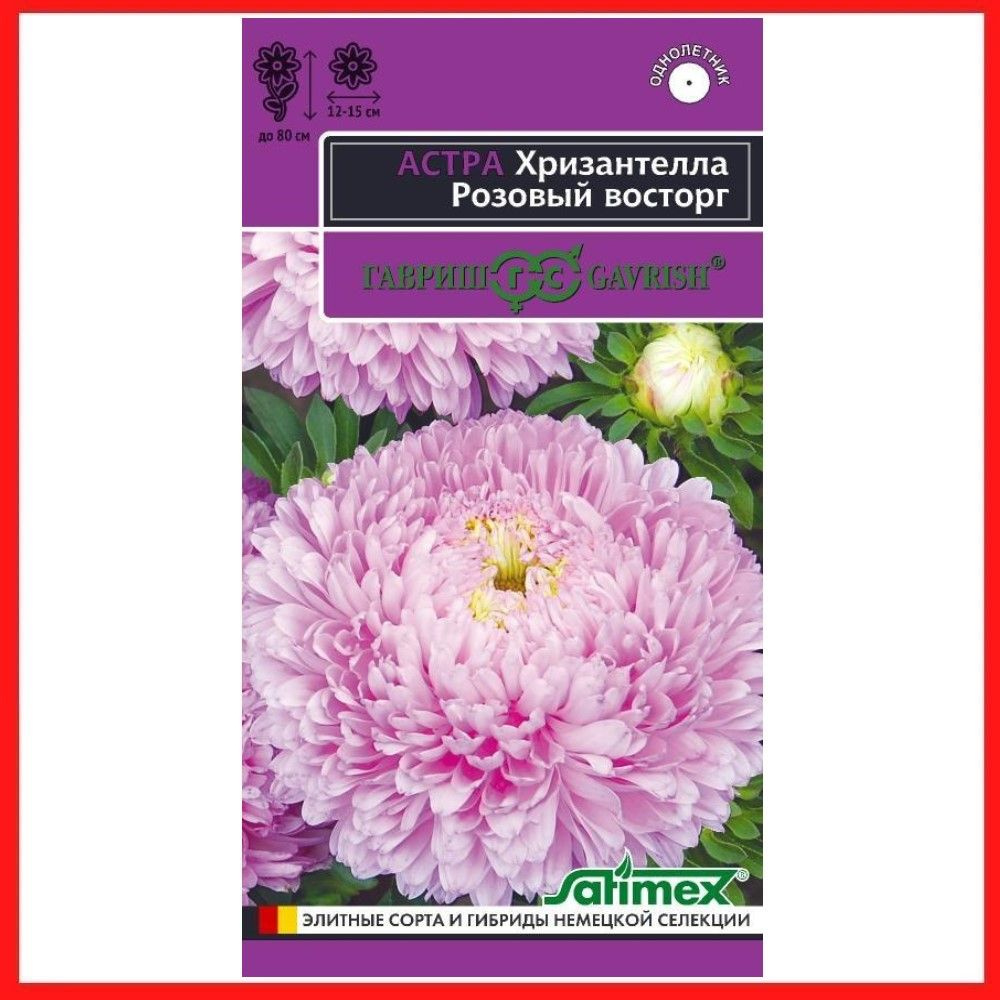 Семена Астра Хризантелла "Розовый восторг" 0,05 гр, однолетние цветы для дачи, сада и огорода, клумбы, #1