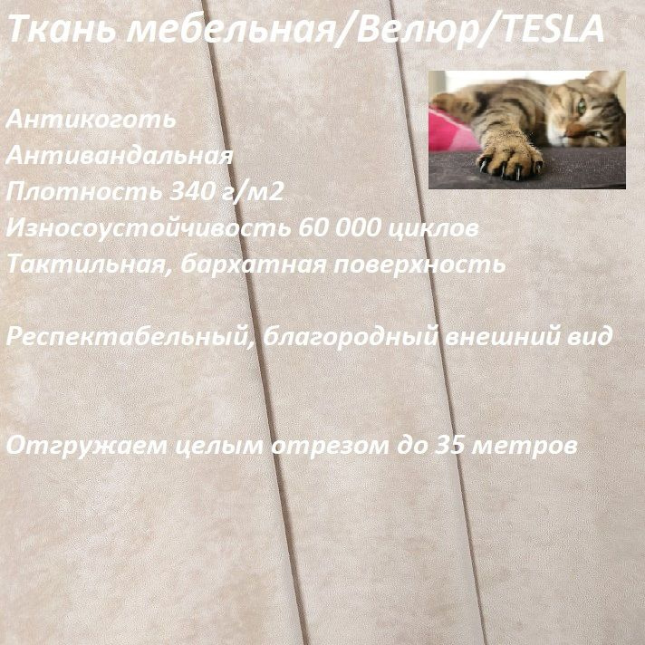 ОТРЕЗ 15 МЕТРОВ Ткань мебельная, антикоготь TESLA_02 сетло-бежевый  #1