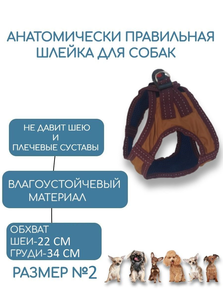 Шлейка для собак мелких пород анатомическая №2 обхват груди 34 см/обхват шеи 22 см, коричневая  #1