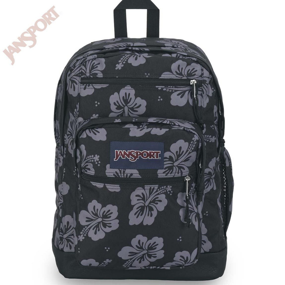 Jansport cool student backpacks hotsell