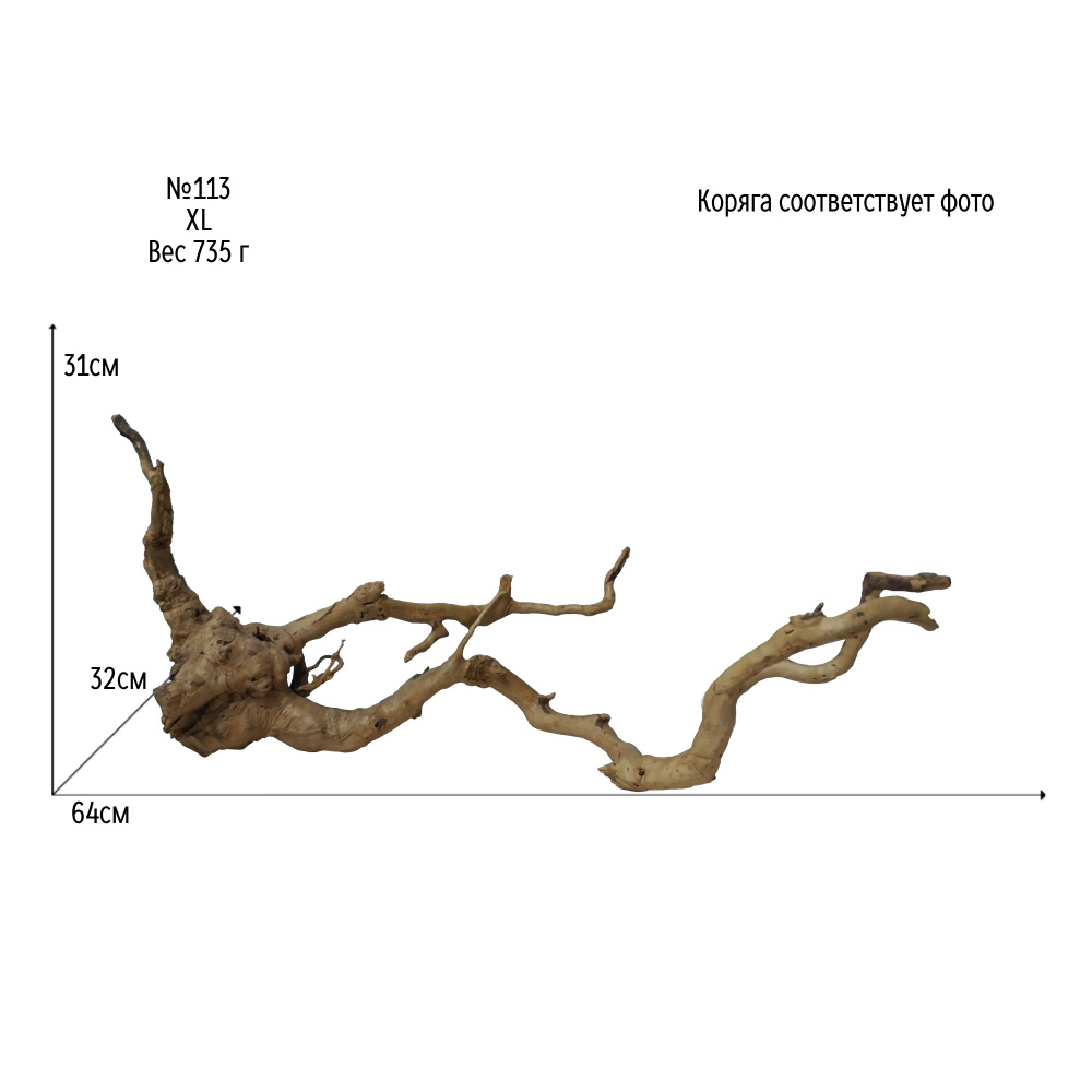 Натуральная коряга для аквариума и террариума. Корень Азалии XL 64Х32Х31 см  №113 - купить с доставкой по выгодным ценам в интернет-магазине OZON  (1503227326)