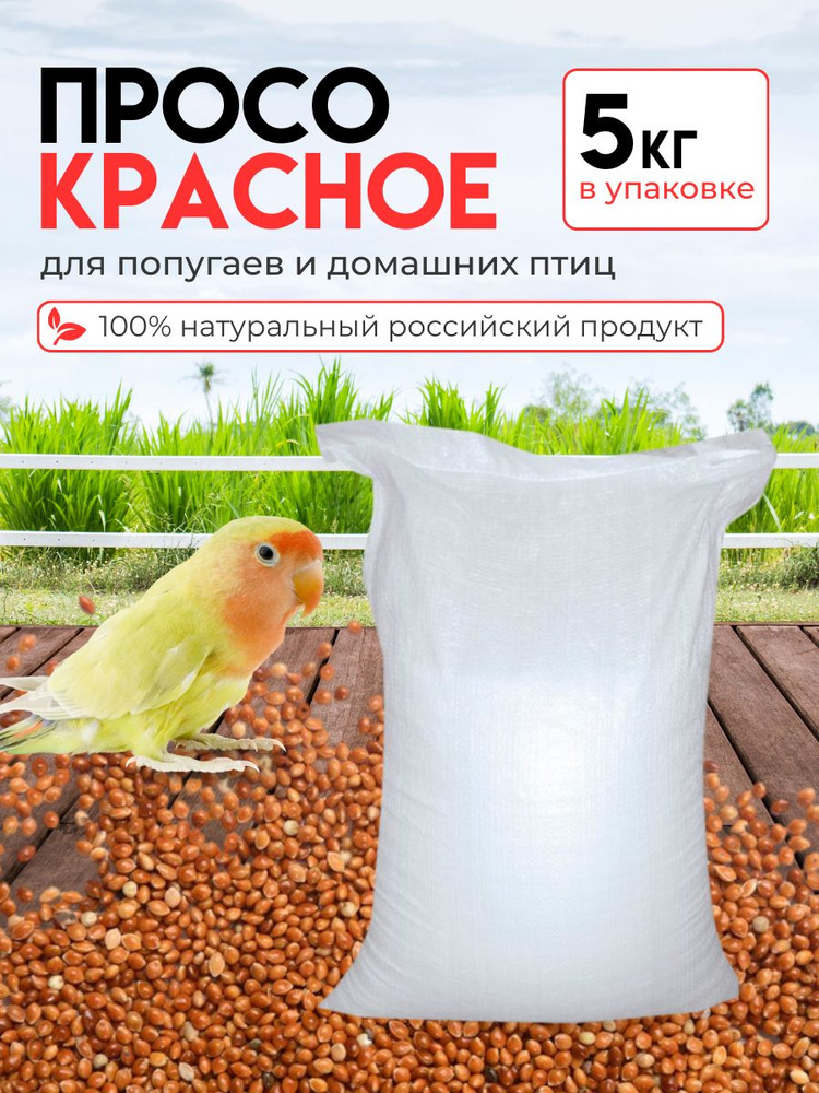 Корм просо красное для птиц и грызунов 2,5 кг #1