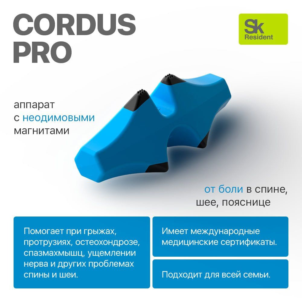 Массажёр для спины шеи и поясницы Cordus Pro - купить с доставкой по  выгодным ценам в интернет-магазине OZON (161739036)