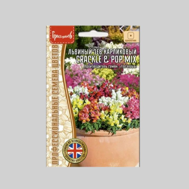Львиный Зев карликовый Crackle & Pop Mix, компактный яркий однолетник (1 упаковка - 5 семян) #1