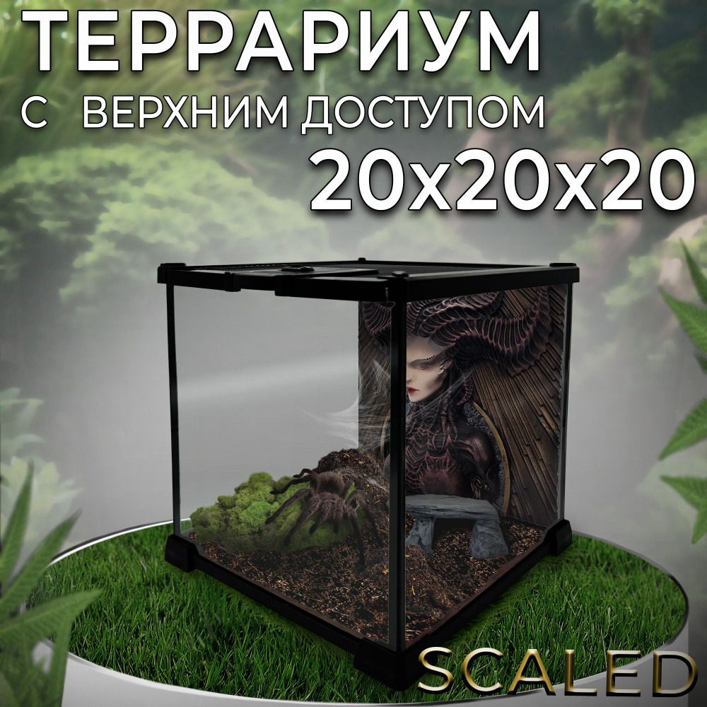 Террариум из силикатного стекла Scaled с верхним доступом, 20x20x20 см.  #1