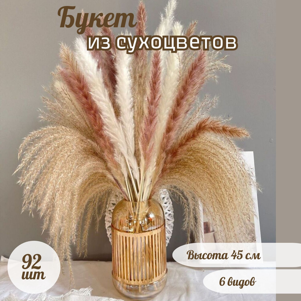 Букет из сухоцветов Мискантус, Пампасная трава, 45 см, 210 гр, 92 шт  #1