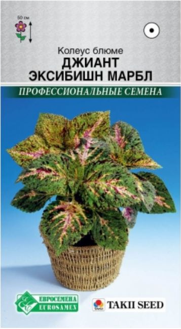 Семена Колеус ДЖИАНТ ЭКСИБИШН МАРБЛ блюме (3 шт) /Takii #1