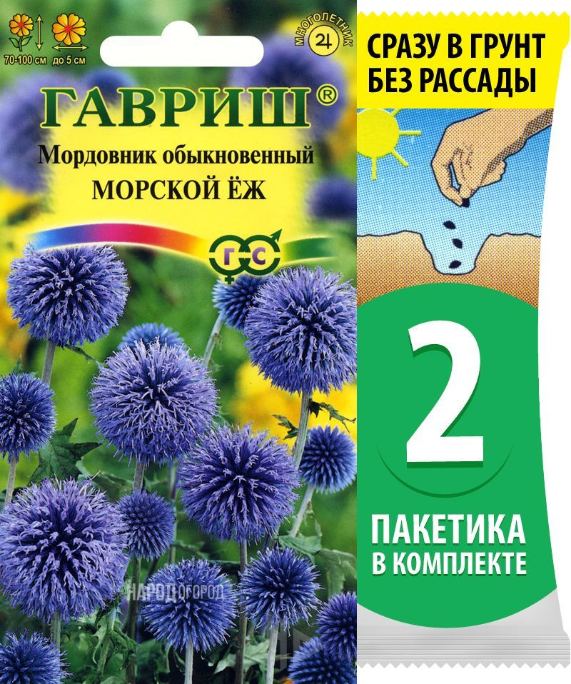 Семена Мордовник обыкновенный Морской Еж, 2 пакетика по 0,3г/15шт  #1