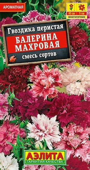 Гвоздика Балерина махровая, смесь сортов #1