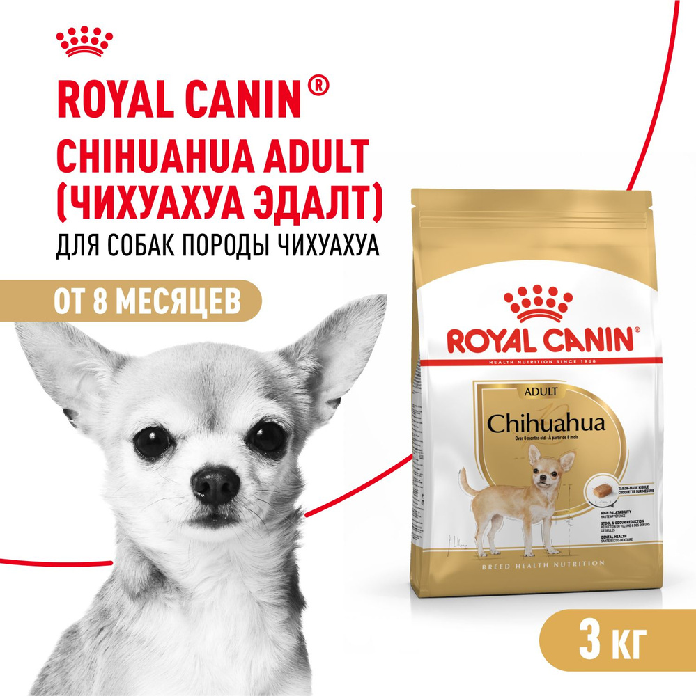 Royal Canin Chihuahua Adult Корм сухой для взрослых собак породы Чихуахуа, 3 кг  #1