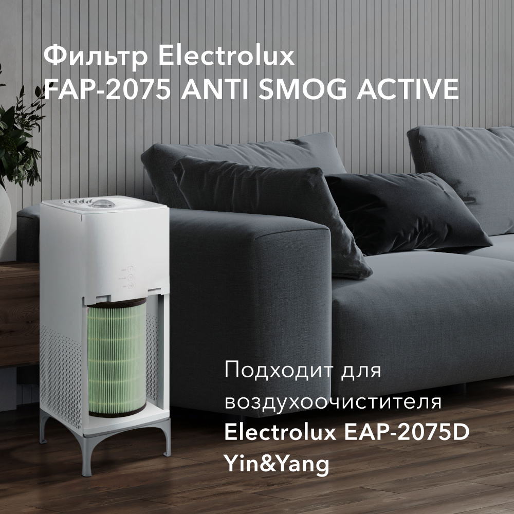 Фильтр Electrolux FAP-2075 ANTI SMOG ACTIVE #1