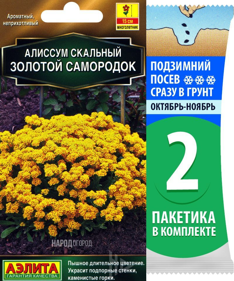 Семена Алиссум скальный Золотой Самородок (медонос), 2 пакетика по 0,1г/50шт  #1