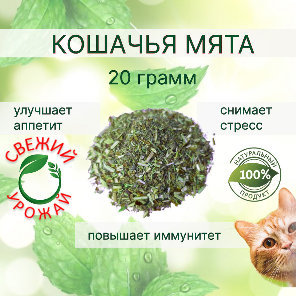 Кошачья мята сушеная лакомство для кошек и котов 20 грамм в пакете (измельченная). Котовник рассыпной #1