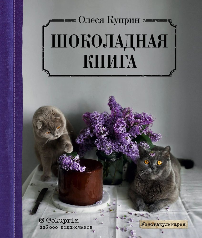 Шоколадная книга | Куприн Олеся #1