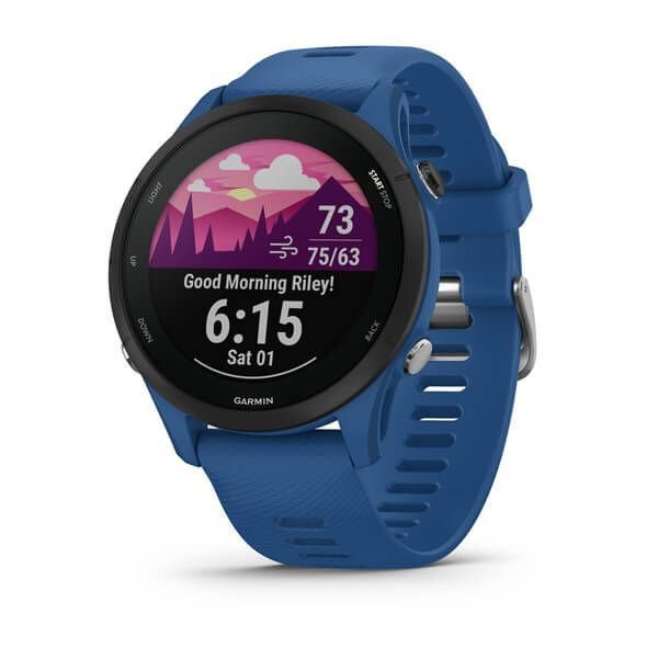 Часы для спорта Garmin Forerunner 255 Tidal Blue 010-02641-11 #1