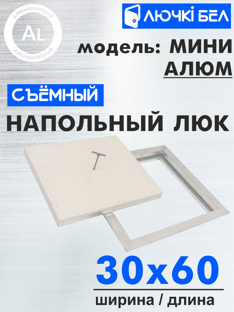 Алюминиевый напольный люк со съемной крышкой Мини АЛЮМ 30х60  #1