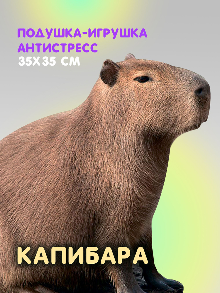 Капибара игрушка мягкая антистресс подушка каракал #1