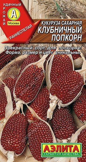 Семена Кукуруза сахарная Клубничный попкорн ,Агрофирма Аэлита #1