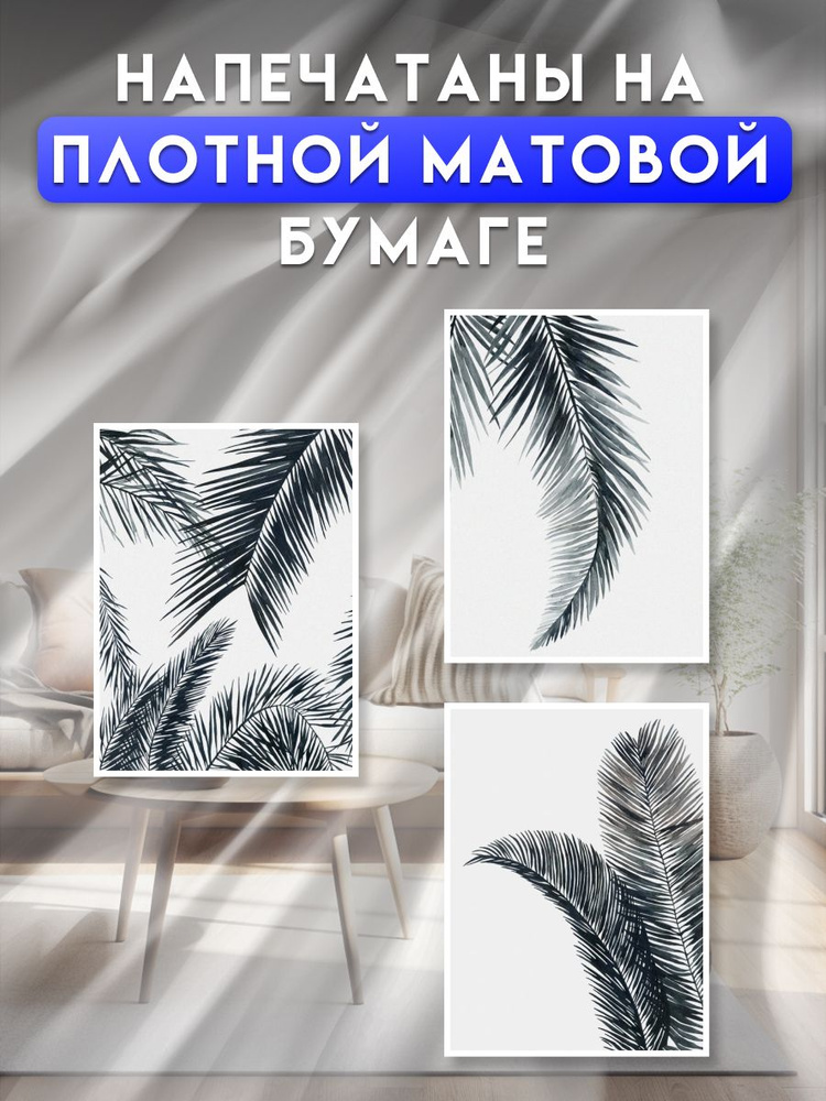 постеры на стену "Листья пальмы", 40х50см #1