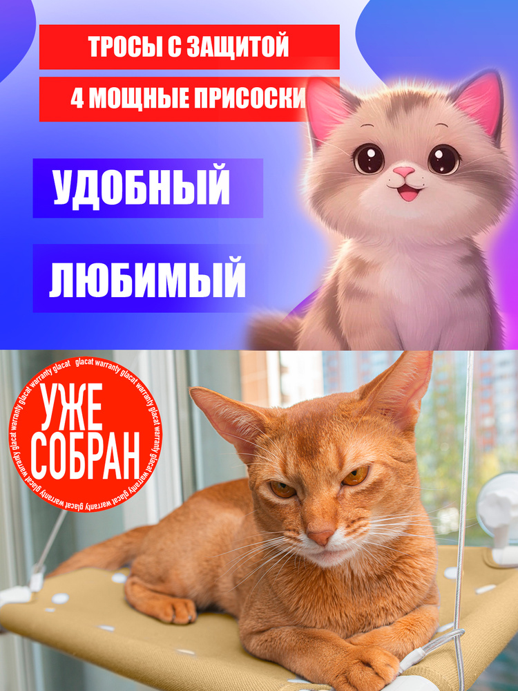 Собранный Оконный гамак для кошек GLACAT COLOR (экстра-крепкие присоски SP2) #1