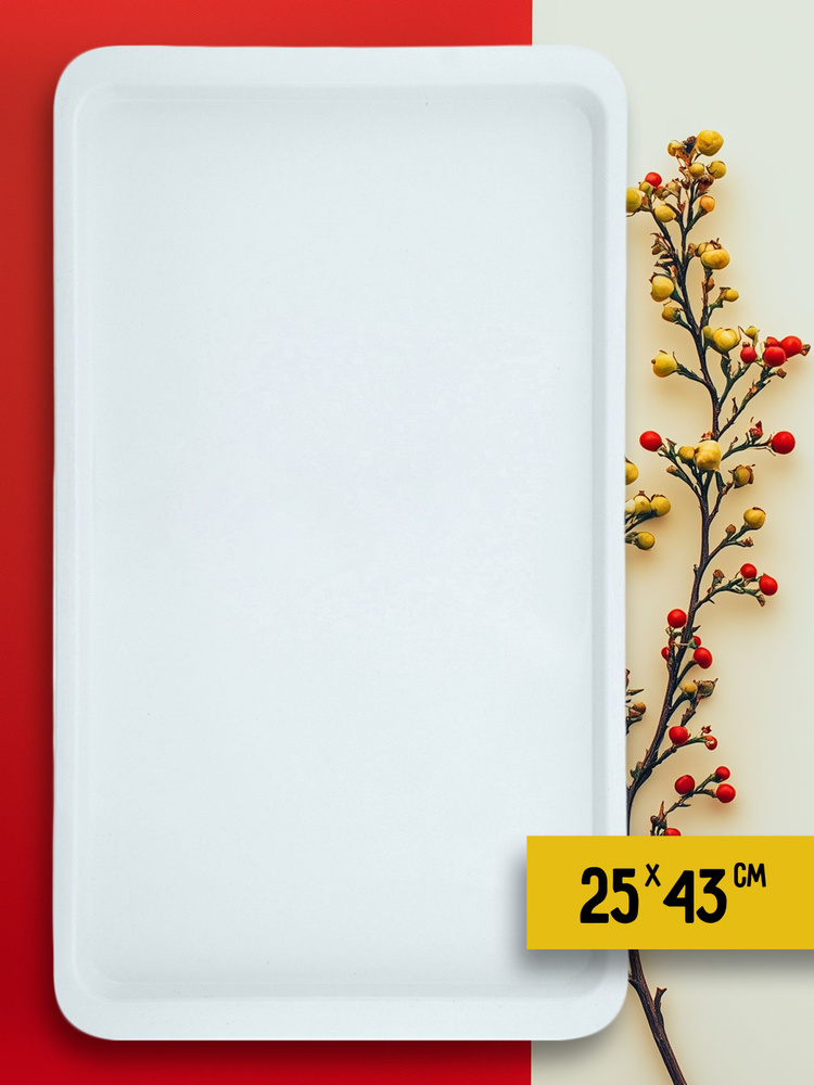 Поднос пластиковый прямоугольный АР-Пласт 25х43 см для кухни, разнос для столовой, белый #1
