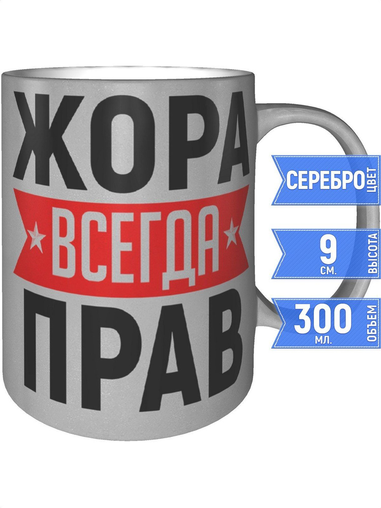 Кружка Жора всегда прав - серебристого цвета #1