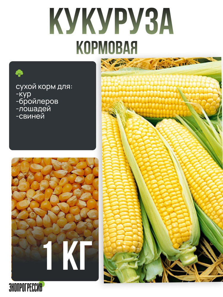 Кукуруза кормовая 1кг #1