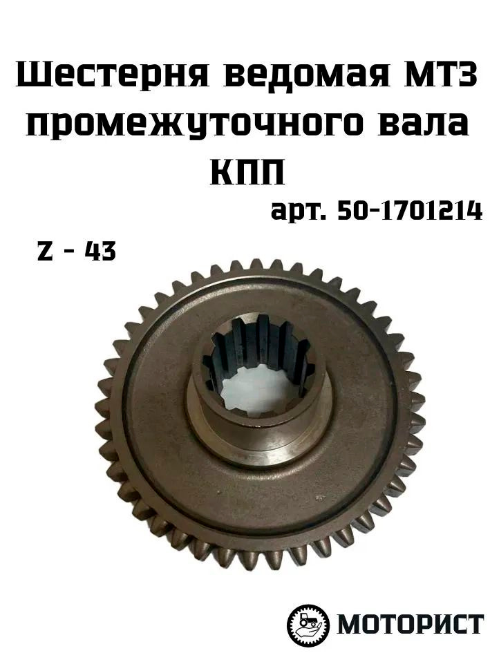 Шестерня КПП МТЗ 3,6-й передачи Z=43 (А)