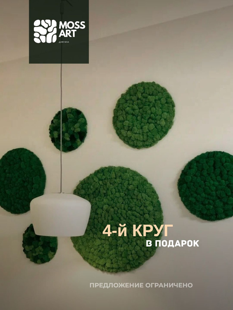 Набор из 3-х круглых панно из стабилизированного мха Ягель 30, 40, 50 см., Зеленое яблоко. Дом Мха - #1