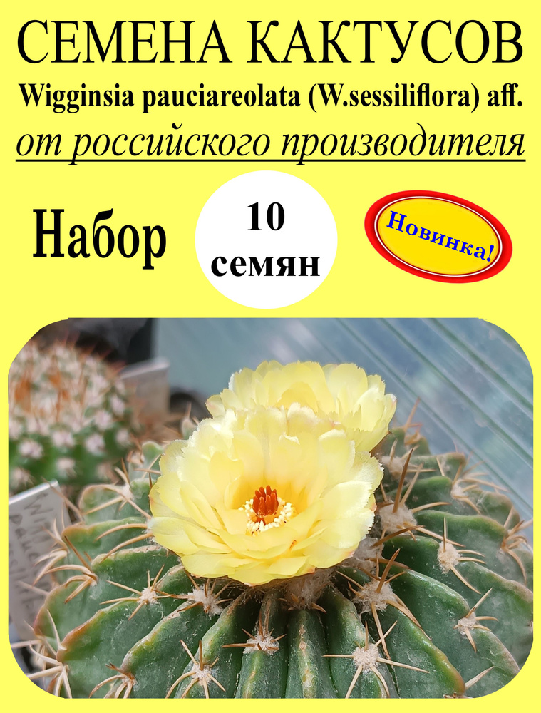 Семена #1