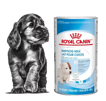 Royal canin best sale babydog milk