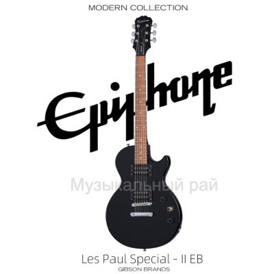 Epiphone Les Paul Special 2 купить на OZON по низкой цене