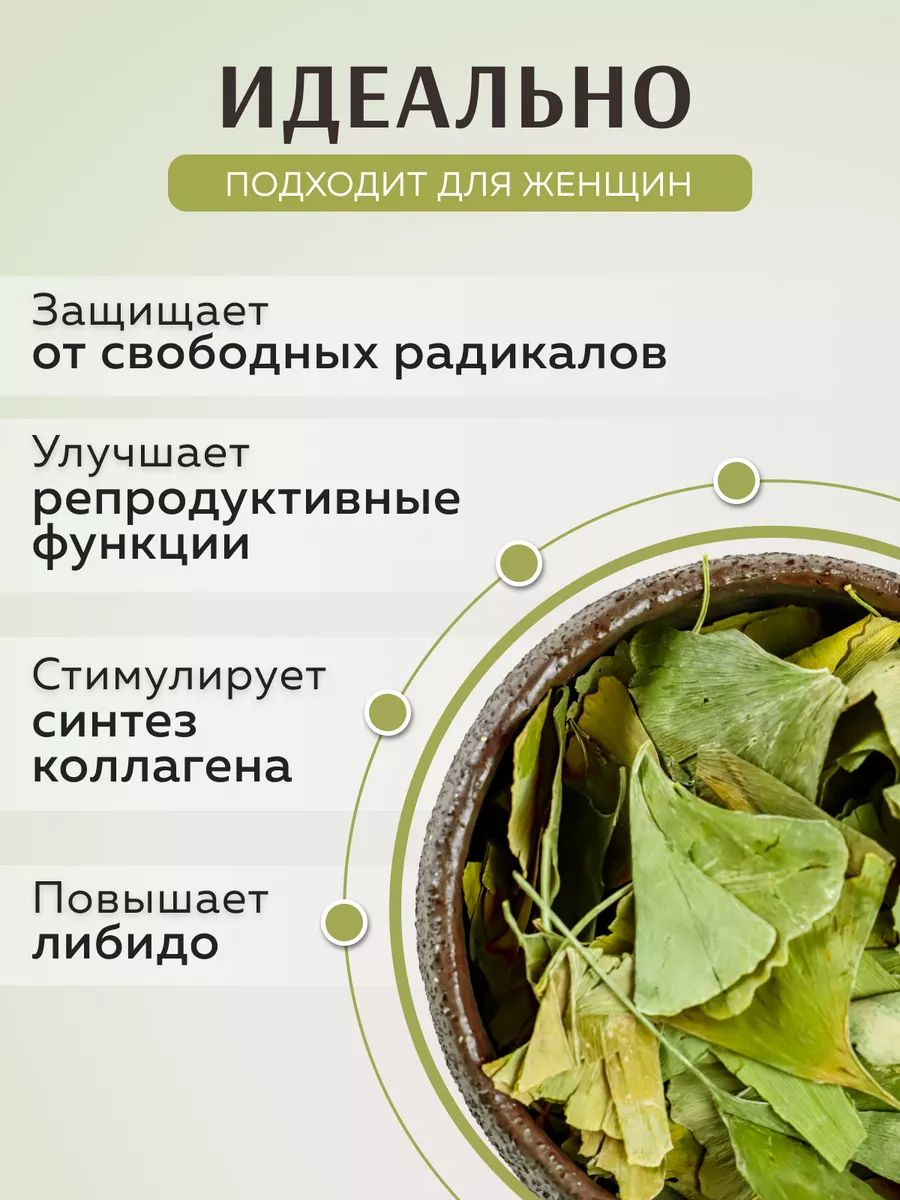 Листья Гинкго Билоба Китайский Чай Из Дикого Гинкго Лекарственный ...