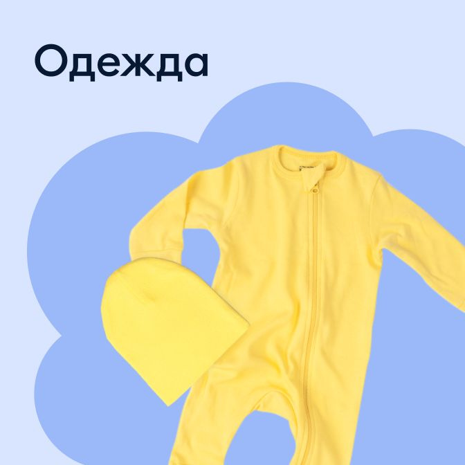 Одежда
