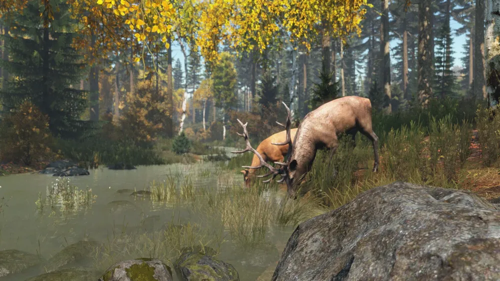 DayZ Deluxe Edition Цифровая версия игр для ПК, вариант, фото 3