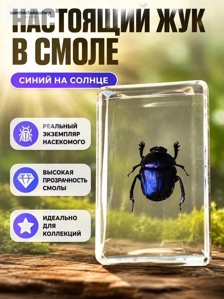 Инсект в прозрачной смоле: навозный жук (с синим отливом на солнце), коллекционный экземпляр для наблюдения и декора, прозрачный