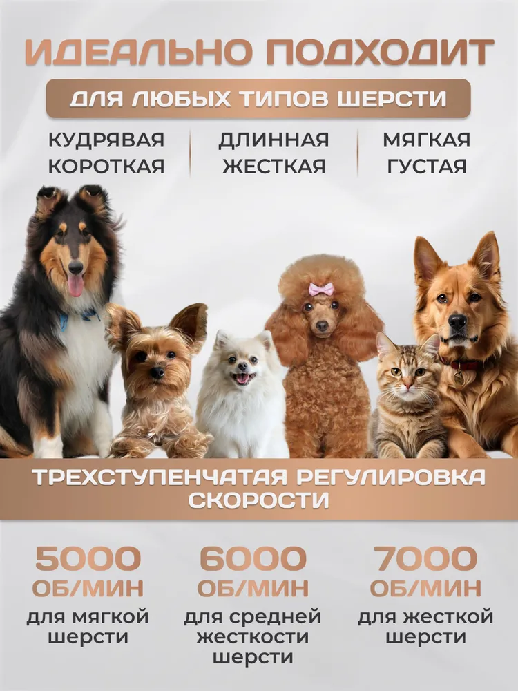 Машинка для стрижки собак и кошек, с запасным лезвием беспроводная водонепроницаемая бесшумная, триммер для лап, вариант, фото 3