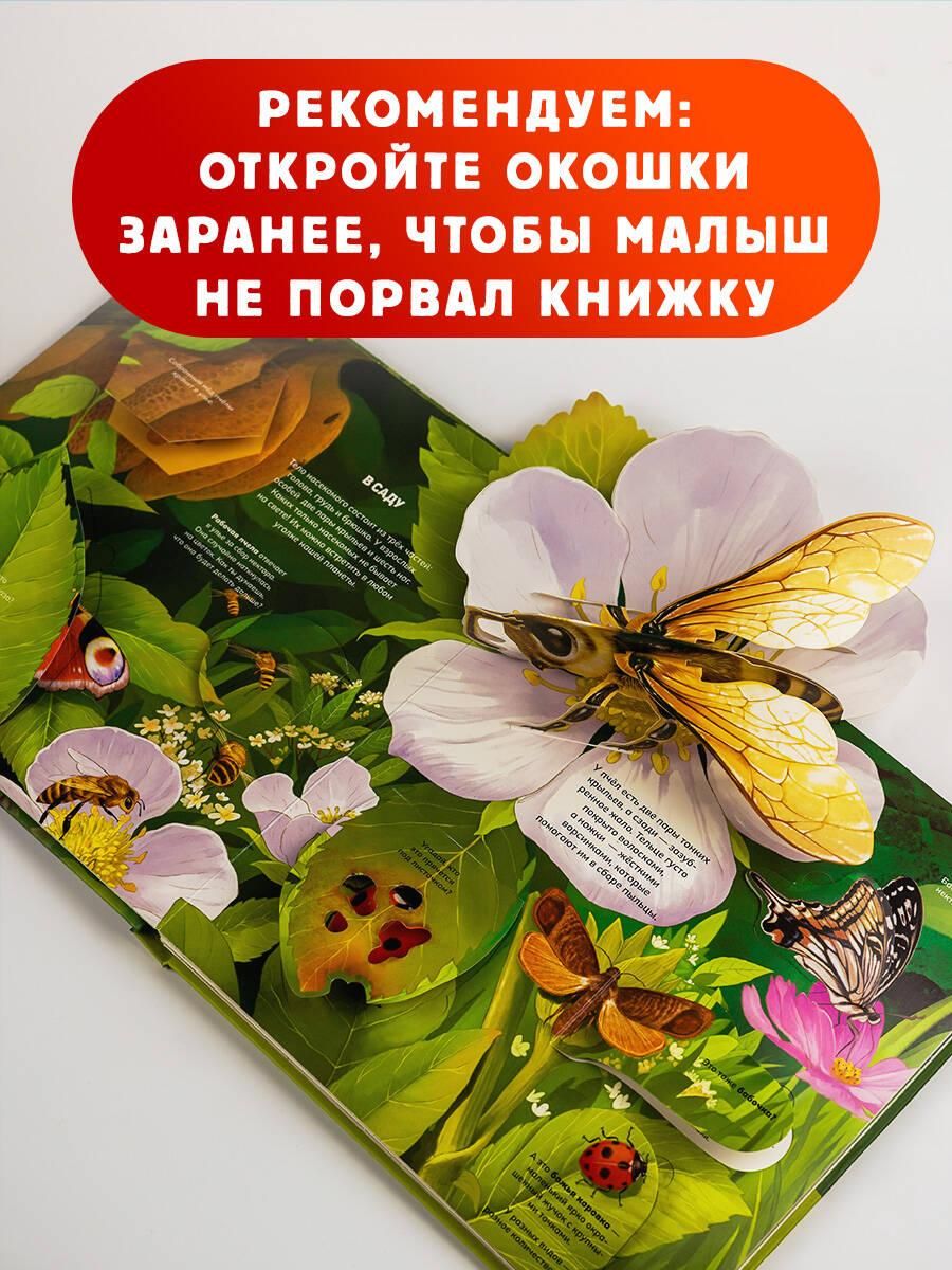 Насекомые. Первая энциклопедия малыша | Reference Book - Ozon image 3