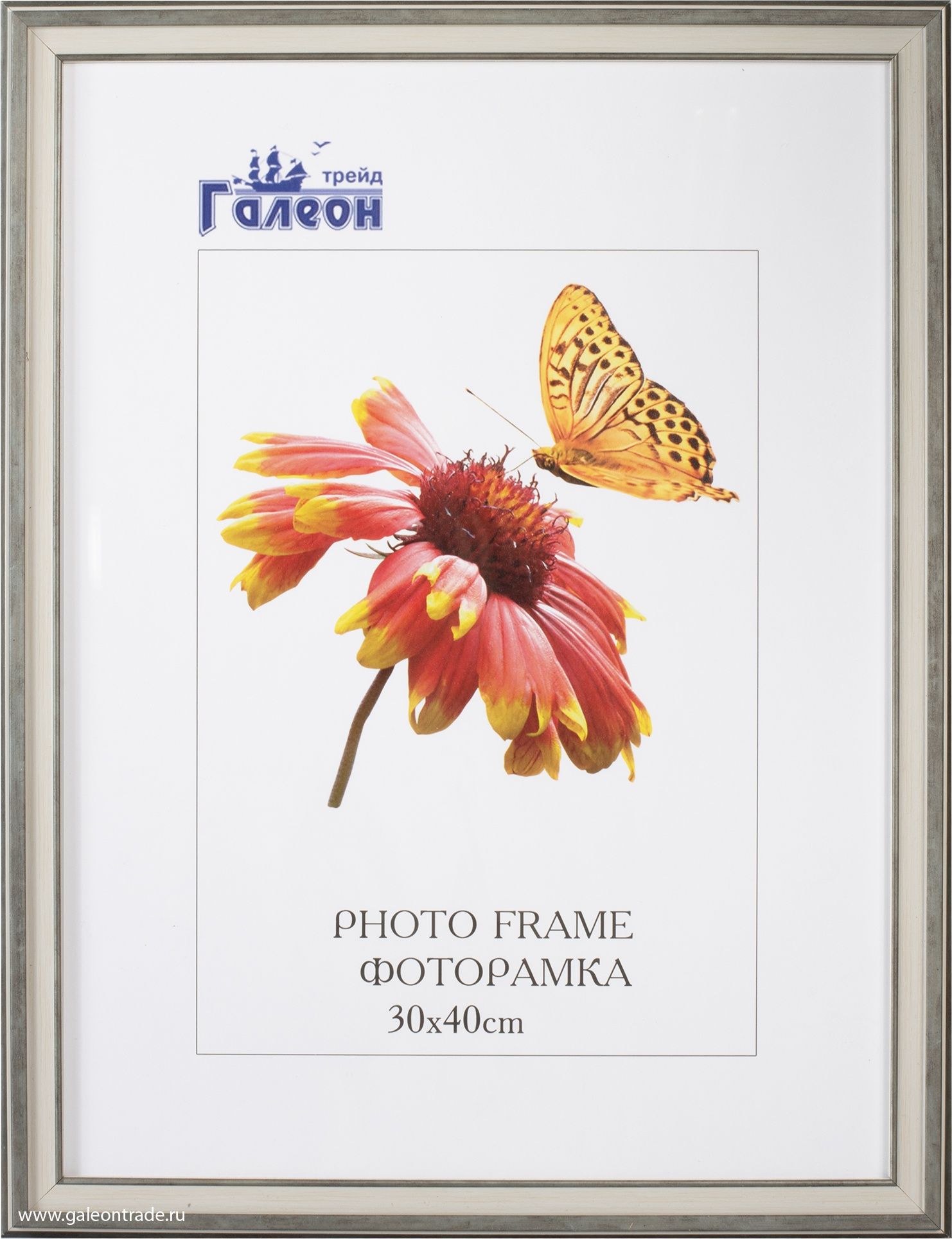 Фоторамка пластиковая 30 х 40 см, серая
