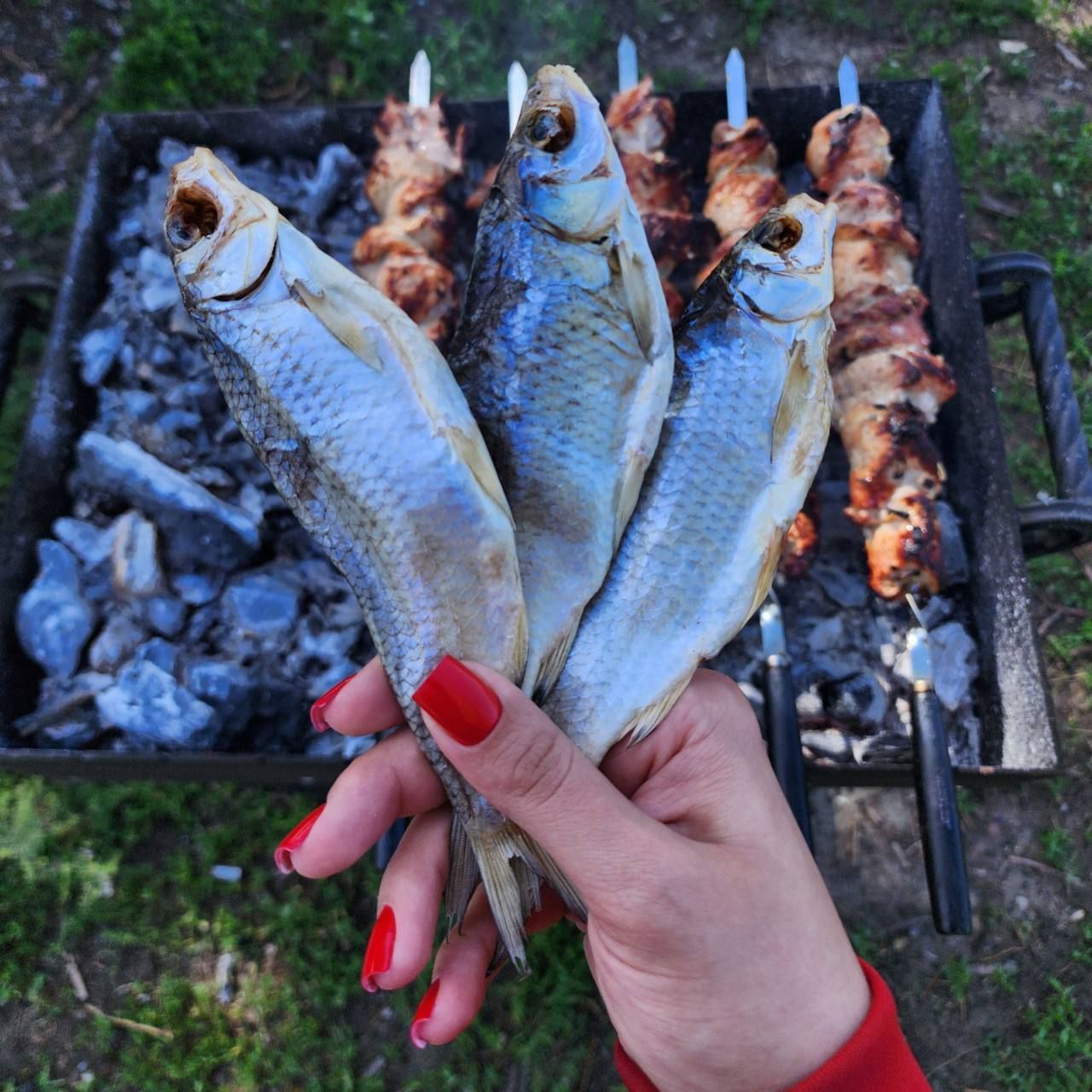 Воблавяленая17-19см500гр8штук