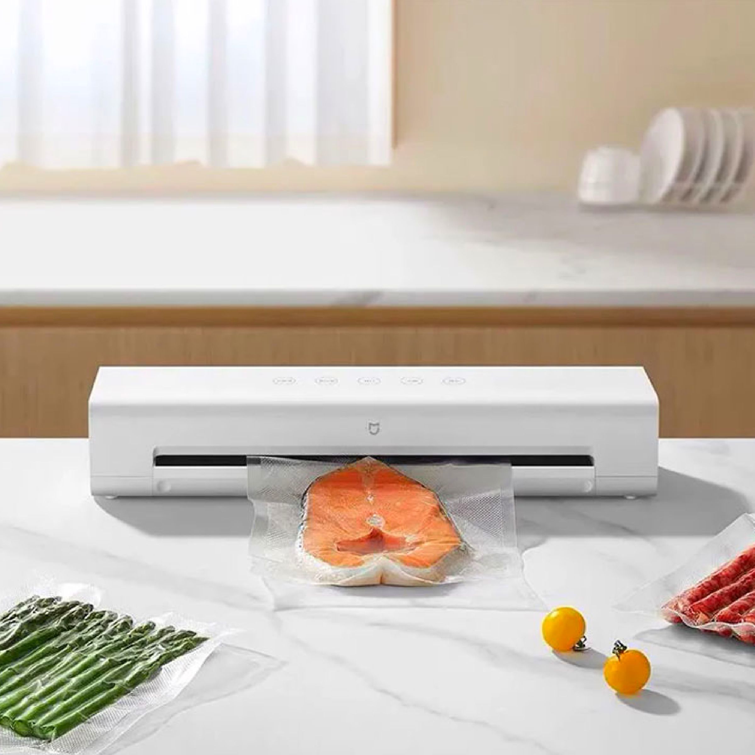 ВакуумныйупаковщикMijia(MJFKJ06XM)