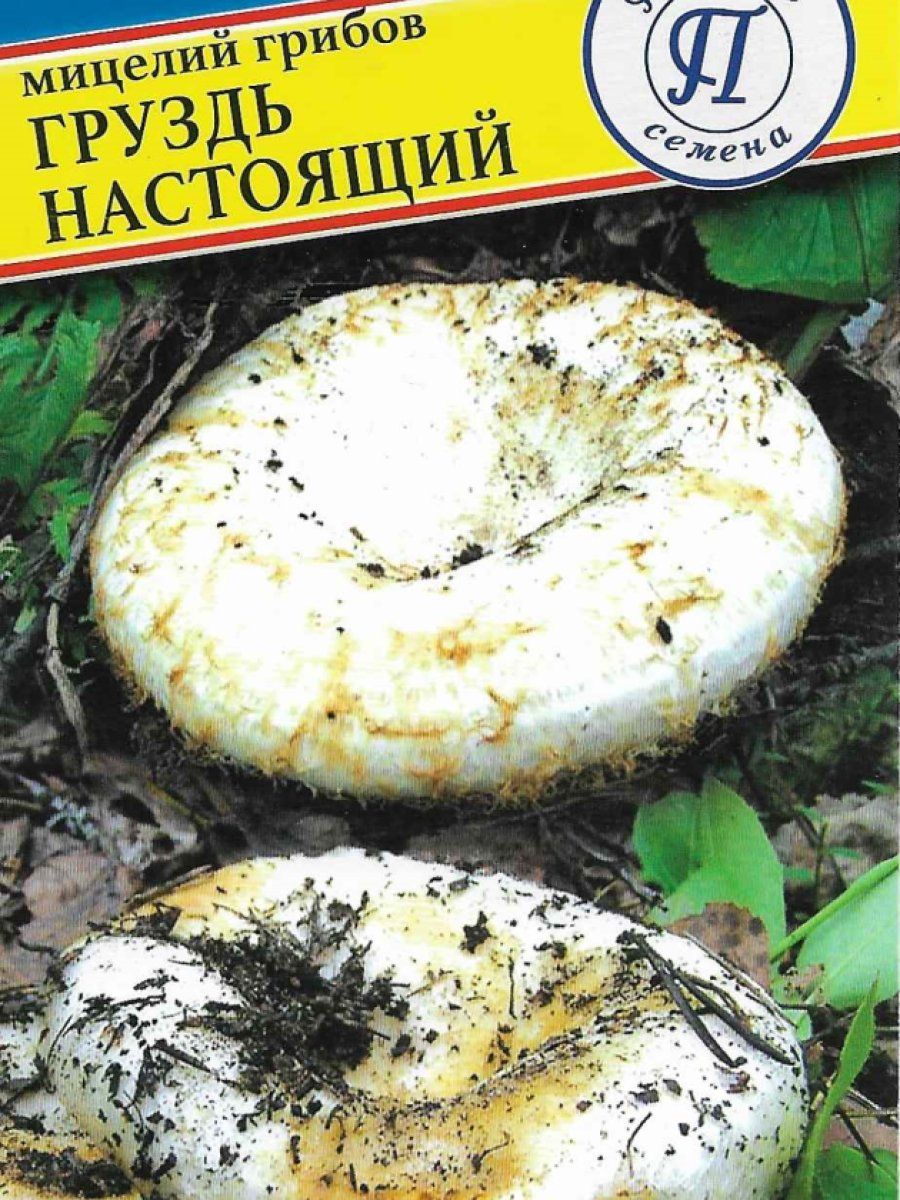 СеменаГруздьнастоящий50мл,Престиж