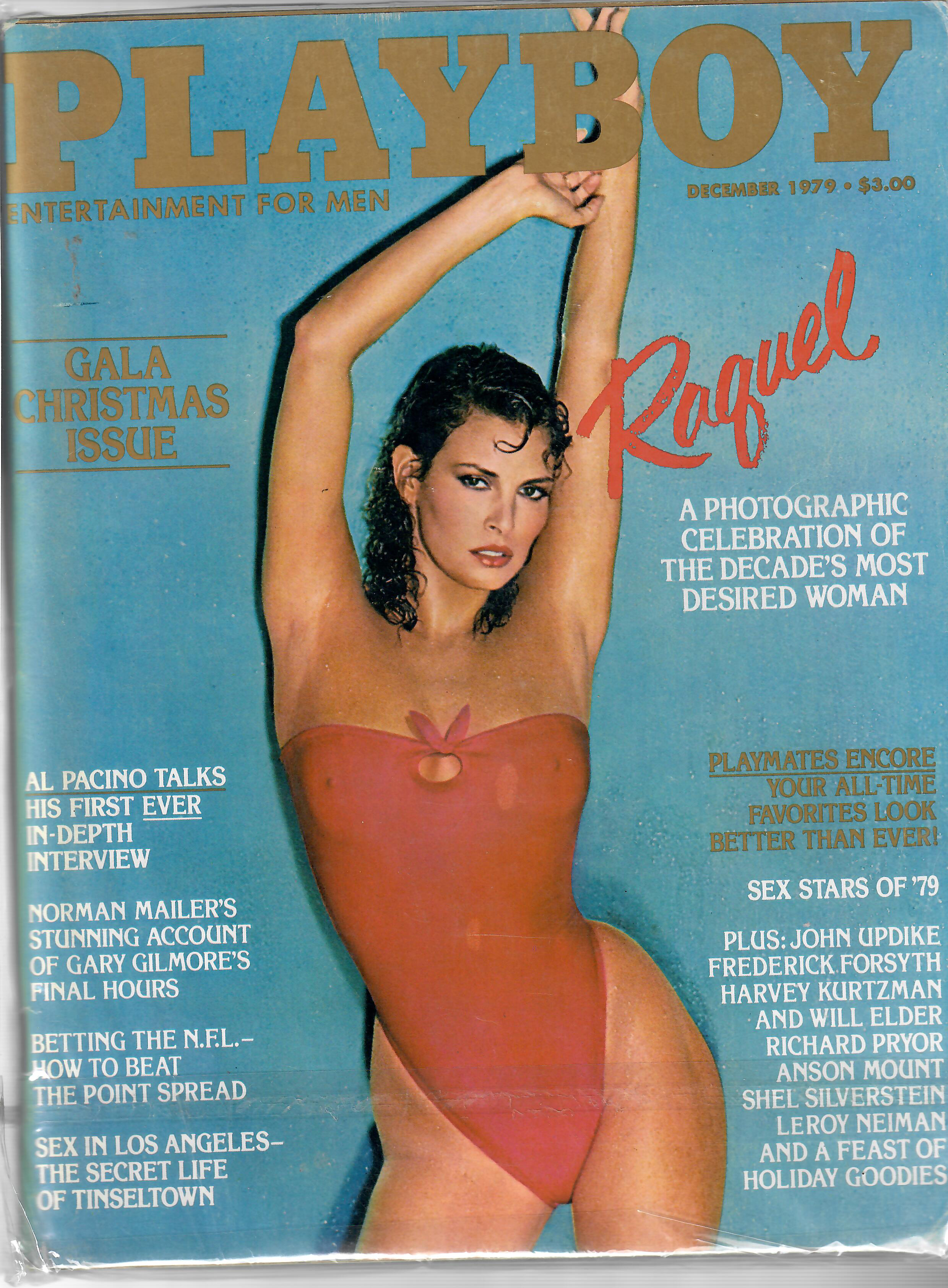 Горячая куколка журнала PlayBoy Горячая куколка журнала PlayBoy
