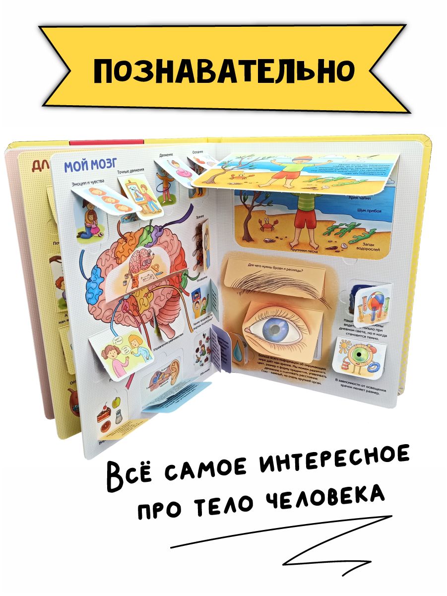 Книга детская энциклопедия с окошками Виммельбух | Children's Encyclopedia with Windows Wimmelbuch - Ozon image 2