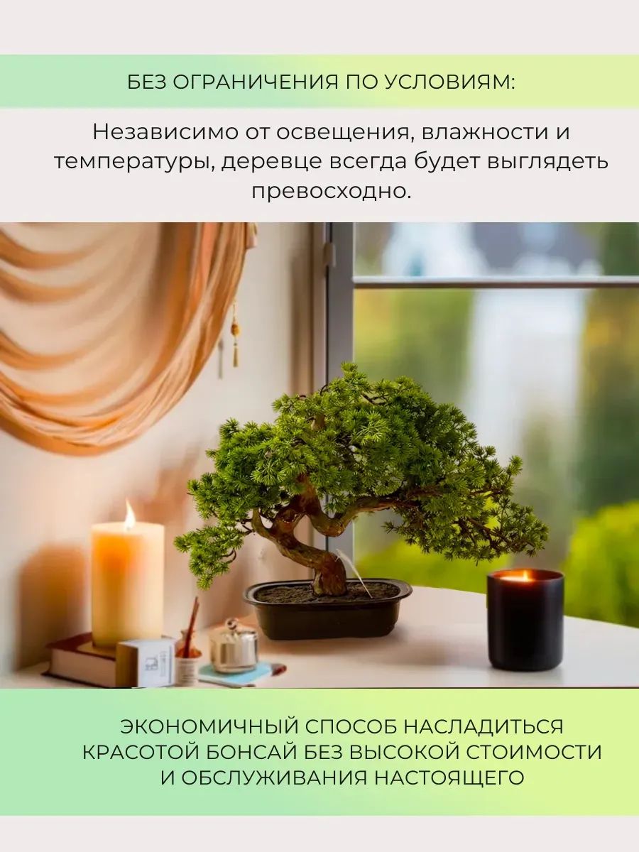 бонсай 44CM TH106164 Китай